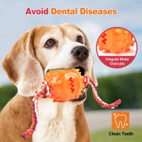 Juguetes Para Masticar Para Perros Juguetes Interactivos De Limpieza De Dientes Anti Mordedura Con Bolas De Alimentos Que Se Escapan Productos Para Mascotas - details 13