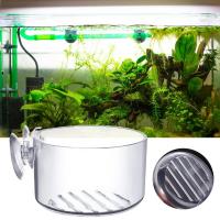 1PC Decoración De Acuario Planta En Vaso De Acrílico Con Soporte De Absorción Para Río Rojo Alimento Para Peces En Tanque Vaso De Jardinería - details 14