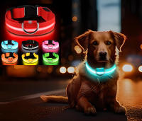 Collar Luminoso Perro Recargable DOG'S LIGHT Animal Kingdom - details 3