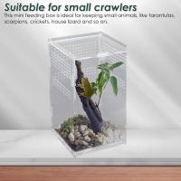 Enclosure De Acrílico Para Reptiles Terrario De Cría Transparente Para Dragón Barbudo Y Araña Cisne Jaula De Habitaculo Para Escorpión - details 3