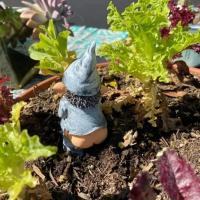 Estatua De Hombre De Piedra En El Jardín Decoración De Pato Riendo Resina Artículos Para El Hogar Y Jardín Decoración Del Patio - details 4