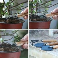 Juego De Herramientas De Jardín 3pcs Rake Pala Mini Para Plantas Succulentas Y Tierra Suave Aluminio Herramienta De Jardinería - details 9