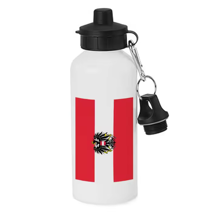 MERCHANDMANIA BIDON DEPORTIVO 600 ML ACERO INOXIDABLE CON CHUPON bandera austria pais gobierno escudo botella escolar deporte bicicleta - 1