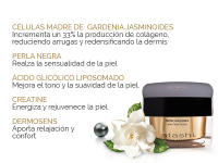 Atashi Antiedad Crema Renovadora Aha Fruit Acids | Repara Y Renueva | Corrige Las Arrugas Profundas | Disminuye El Tamaño Del Poro | Con Ácido Glicólico Y Gardenia, 50 Mililitro - details 1