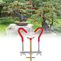 Kit De Herramientas Para Modelar Plantas Y Árboles Bonsai Herramienta De Formado De Jardinería Y Artesanía Metálica Para Ajustar Troncos Y Ramas - details 4