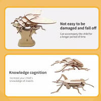 Puzzle De Madera DIY Para Niños Insectos Encantadores Buitres Libélula Mariposa Mantis Kit De Artesanía De Madera Para Jardín De Infantes - details 1