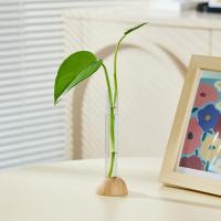 Vaso Hidroponico Transparente Con Base De Bambú Resistente Al Agua Para Decoración De Plantas En El Hogar Moderno Y Espacioso Juego De Flores Y Bonsái Para Mesa - details 2