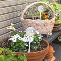 Bulbos De Rociado Automático Para Plantas Vidrio Rainbow Gradient Color Transparente Herramienta De Riego De Maceta Self Watering - details 11