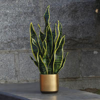 Plantas Artificiales Sansevieria 32/37cm Para Decoración De Jardín Y Hogar Plástico Bonsái DIY Falso Verde Para Interior Y Exterior - details 11