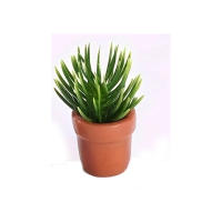 Modelo Miniatura De Plantas Simuladas Para Decoración De Casa De Muñecas Y Paisajismo Micro Bonsái Accesorios De Jardín - details 5