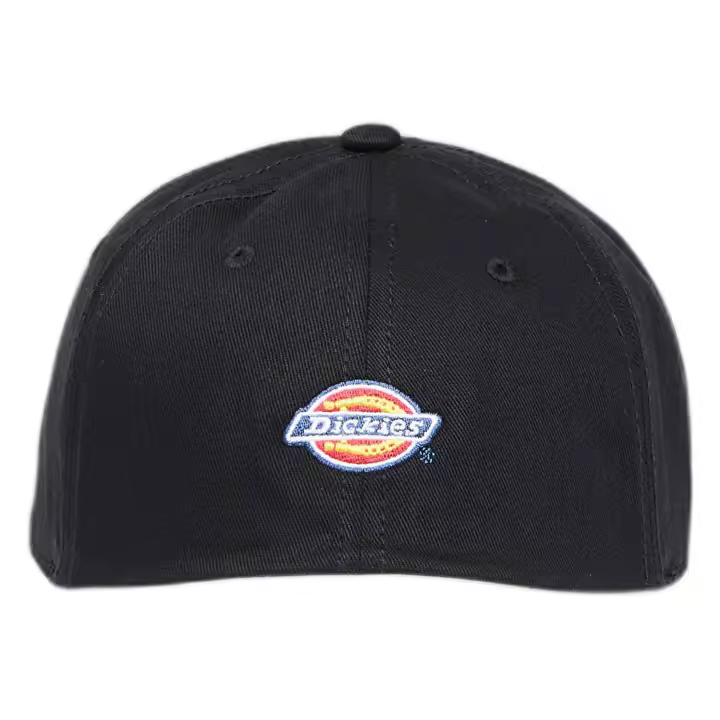 Complementos Lifestyle marca Dickies modelo Dk0A4Z6Lblk1 para unisex en color negro - 1