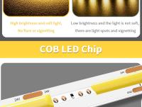 Tira De Luz LED COB Alta Densidad Flexible Para Decoración De Habitaciones Y Backlight 3000-6000K Dimmable DC 12V 24V Tape Ribbon LED - details 2