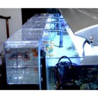 Caja De Cría Para Pequeños Peces Acrílico De Acrílico Para Acuario Separación De Peces Pequeños Caja De Aire Para Peces Enfermos - details 2