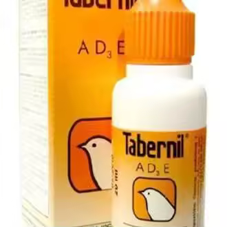Taberni La-D3-E Oral Vial 20Ml - 1