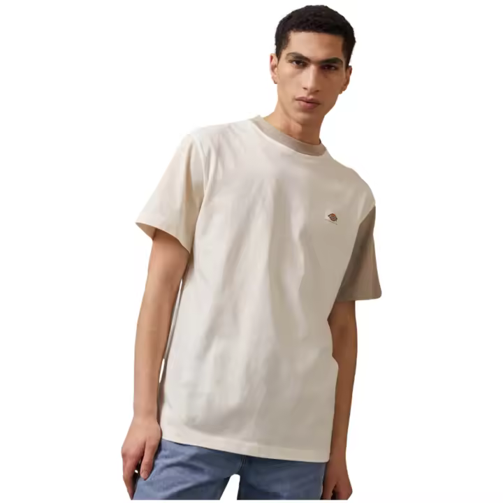 Camiseta Dickies Eddyville Cloud - 1