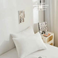 2pcs Fundas Para Almohada Suaves Y Transpirables De Calidad Premium Para Decoración De Hogar Y Sofa Sin Almohada Fundas Para Cama De Poliéster/Celulosa - details 1