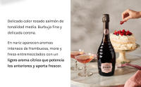 Codorníu Ars Collecta Grand Rosé - Cava Rosado Reserva - details 3