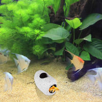 Cueva De Escondite Para Caracoles En Acuario Decoración De Tanque De Peces Casa De Acuario Material Duradero Tamaño Ajustable - details 1