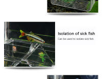 Nueva Incubadora De Peces Paon Azul En Acrílico Caja De Cría Acrílica Para Acuarios Tropicales Separador De Betta Tank Spawner Alec - details 4