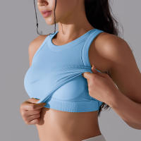 Sujetador Deportivo De 2 Niveles Para Mujer Sexy Yoga Alta Soporte Impacto Deporte Ropa Interior Correr Secado Rápido Top Deporte Gimnasio Con Almohadillas - details 10