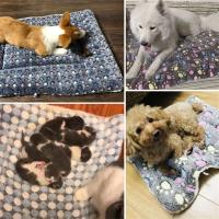 Alfombra De Mascota Suave Para Gatos Y Perros Alfombrilla De Dormir Corta De Peluche Cálida Almohadilla Para Gatos Recién Nacidos Accesorios Para Mascotas - details 0