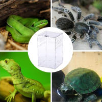 Caja De Alimentación Para Reptiles De Acrílico Terrario Transparente Hogar Para Insectos Araña Lagartos Escorpiones Caja De Encierro Arbóreo - details 5
