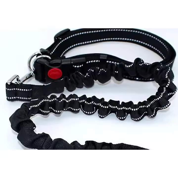 Tiiqang Correa Elástica para Perros de Nylon para Correr con Mascotas - Negro - 1