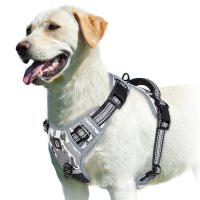 Cojín Ajustable Y No Deslizante Para Perro Harnés De Cuello With Manija De Control Fácil Para Adultos Todas Las Estaciones - details 0