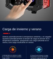 Cargador Inteligente De Batería Para Coche Y Motocicleta 20A/10A 12V/24V Compatible Con Lithium AGM GEL Lead-Acid LiFePO4 - details 12