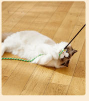 Juguete Interactivo Para Gatos Con Plumas Y Cinta De Satén Con Campana Varita Telescopio Para Divertir a Los Gatos Y Gatitos Accesorios Para Gatos - details 9