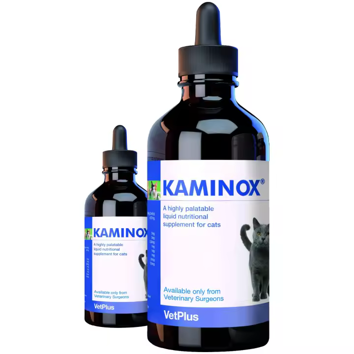 Vetplus Suplemento Nutricional Kaminox para Gatos | Insuficiencia Renal en Gatos - 1