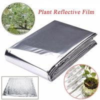 Película Reflectante De Plata Mylar Para Invernadero Y Cosecha 210x120cm Aumenta El Crecimiento De Las Plantas 1/2/3 PCS - details 3