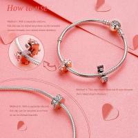 Metal con circonita cúbica compatible pulsera y europeo, Navidad Amuletos para mujer niña cumpleaños Aarynnivers - details 2