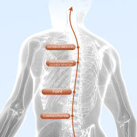 Instrument de modelage du cou à ultrasons portable et apaisant pour le corps et le lymphe, maxant, chargement USB, instrument de soulagement lymphatique portable à ultrasons pour le cou, correcteur réglable pour hommes et femmes (noir) - details 8