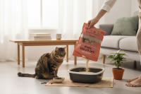 Pack 8 Arena para Gato Tofu Cottecota Café 6 L + Vara Juguete (Color Aleatorio) - details 0