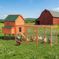 PawHut Gallinero de Madera Grande Exterior, Caseta para Gallinas con 2 Nidos, Corral, Techo Asfáltico, Bandeja Extraíble y Rampa, Casa Elevada para 4-6 Gallinas, Conejos, 347x160x150 cm, Naranja - details 3