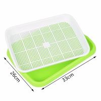 Plato De Crecimiento Sprout 33cmx26cmx5cm Para Microgreens Sistema Hidroponico De Sprouts Herramienta De Jardinería Y Agricultura - details 11