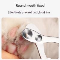 Tijeras De Uñas Para Gatos Pequeños Herramienta De Peluquería Profesional Para Mascotas En Casa Material De Acero Inoxidable - details 8