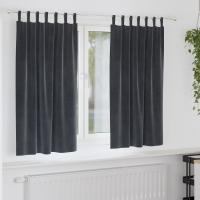 Cortinas Opacas vidaXL con Lazos de Colgar 2 pcs Gris Oscuro Terciopelo - details 0