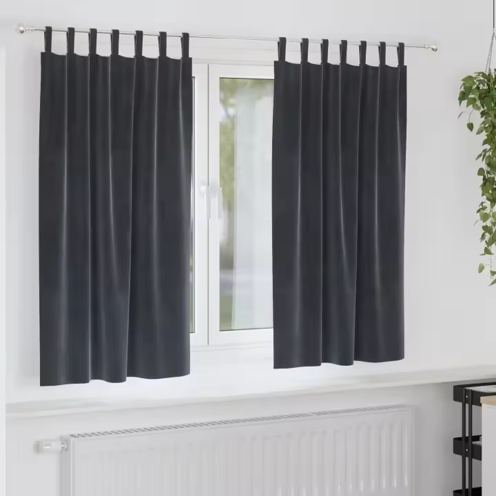Cortinas Opacas vidaXL con Lazos de Colgar 2 pcs Gris Oscuro Terciopelo - 1