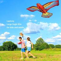 Eagle Kite Reel De Manejo Para Vuelo De Grandes Lanchas Aireales Accesorio Profesional Para Niños Y Adultos Juguete De Juego Al Aire Libre Forma Animal Polyester - details 5