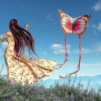 Butterfly Kite para juegos y actividades al aire libre - details 4