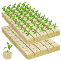 36/50Pcs Iniciadores De Plagas De Esponja Y Poliestireno Para Cultivo En Casa Jardín Herramientas De Suministros De Invernadero Cubos De Medio De Cultivo Hidroponía - details 8