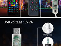 Luces LED Bluetooth WS2812B Dreamcolor RGBIC Addressable Para Fiesta Navidad Boda Decoración Guirnalda USB 5V Impermeable - details 14