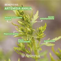 Suplemento Livisto Artennua 90 Capsulas para Perros y Gatos - details 2