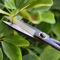 Tijeras De Podar Para Bonsái Para Principiantes Con Mango Largo Negro Herramienta De Jardín Para Arreglar Flores Y Cortar Plantas - details 1