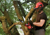 0534 CA Motosierra a batería «Brushless» SKIL - details 0