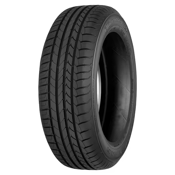NEUMÁTICOS GOODYEAR 255/40 R19 100Y EFFICIENTGRIP (AOE) XL RUN FLAT - 1