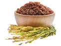 Alimento seco para perros OWNAT CLASSIC LIGHT - Alimento ligero y nutritivo para tu mascota Platz K9 S.L. - details 2