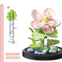 Bloques De Construcción Rosa Con Cubierta Antipolvo Flor Solar Eterna Modelo De Ladrillo Para Jóvenes Creativos Decoración Del Hogar Regalo De Colección - details 20